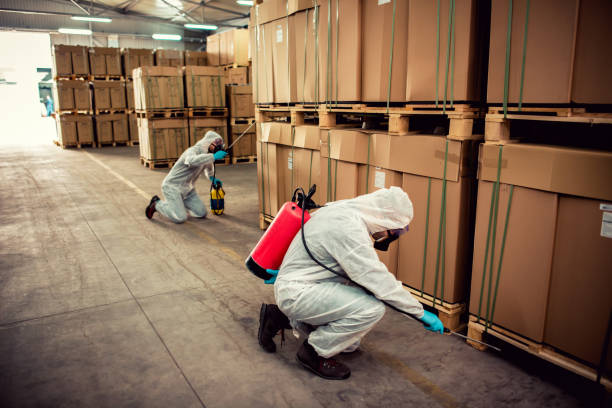 Professional Pest Control in Madera Ranchos, CA