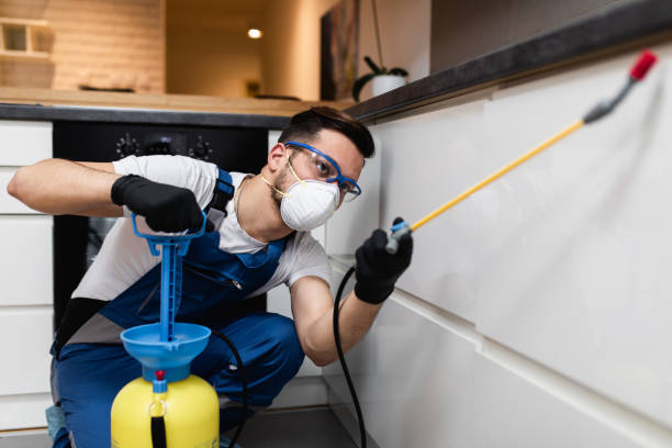 Pest Control for Restaurants in Madera Ranchos, CA