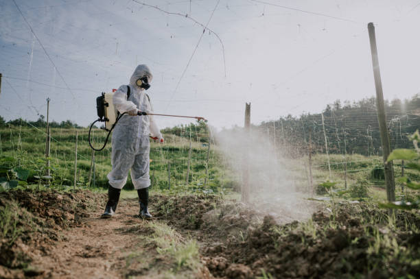 Best Pest Prevention Services  in Madera Ranchos, CA