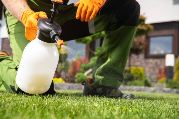 Best Rat Extermination Near Me  in Madera Ranchos, CA