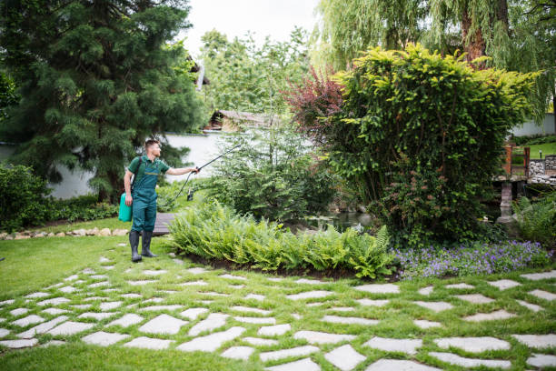 Best Wasp Removal Services  in Madera Ranchos, CA