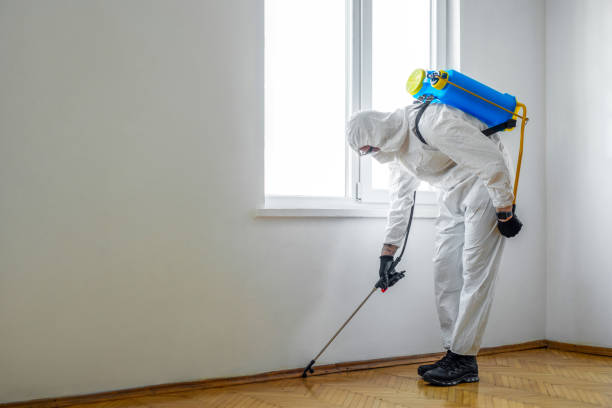 Best Pest Removal Services  in Madera Ranchos, CA
