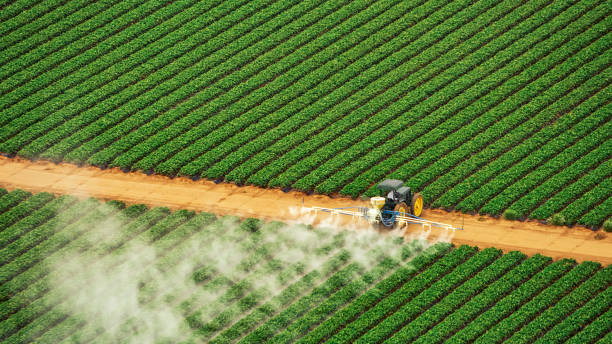 Best Commercial Pest Control Services  in Madera Ranchos, CA