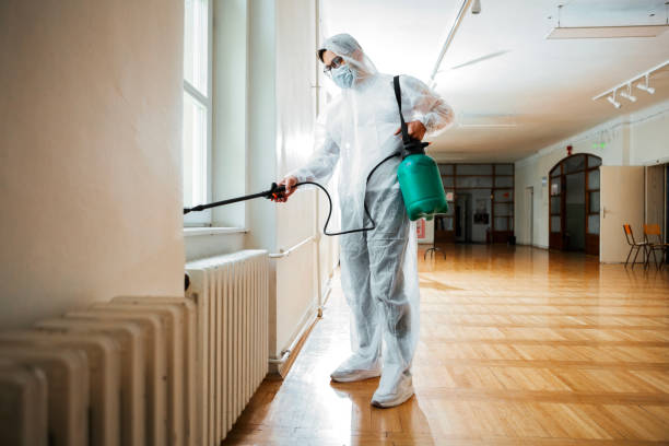 Best Mosquito Control Services  in Madera Ranchos, CA