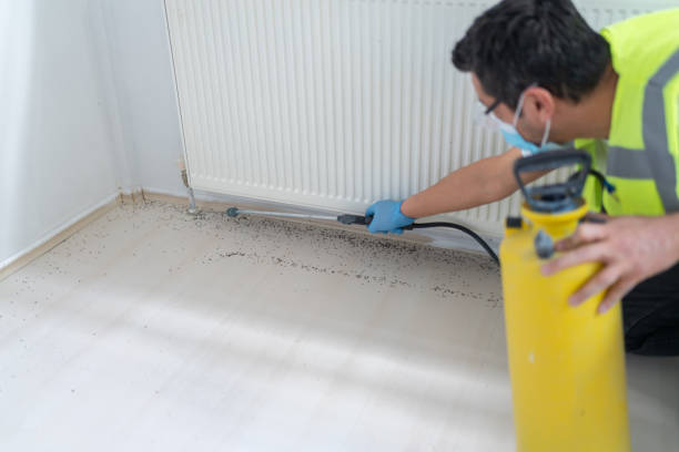 Best Pest Inspection Near Me  in Madera Ranchos, CA