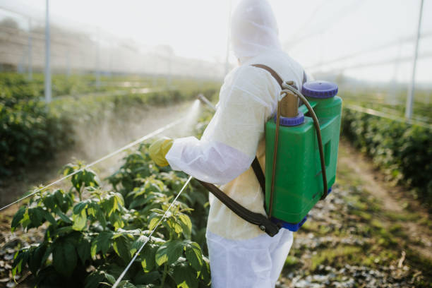 Bird Control in Madera Ranchos, CA
